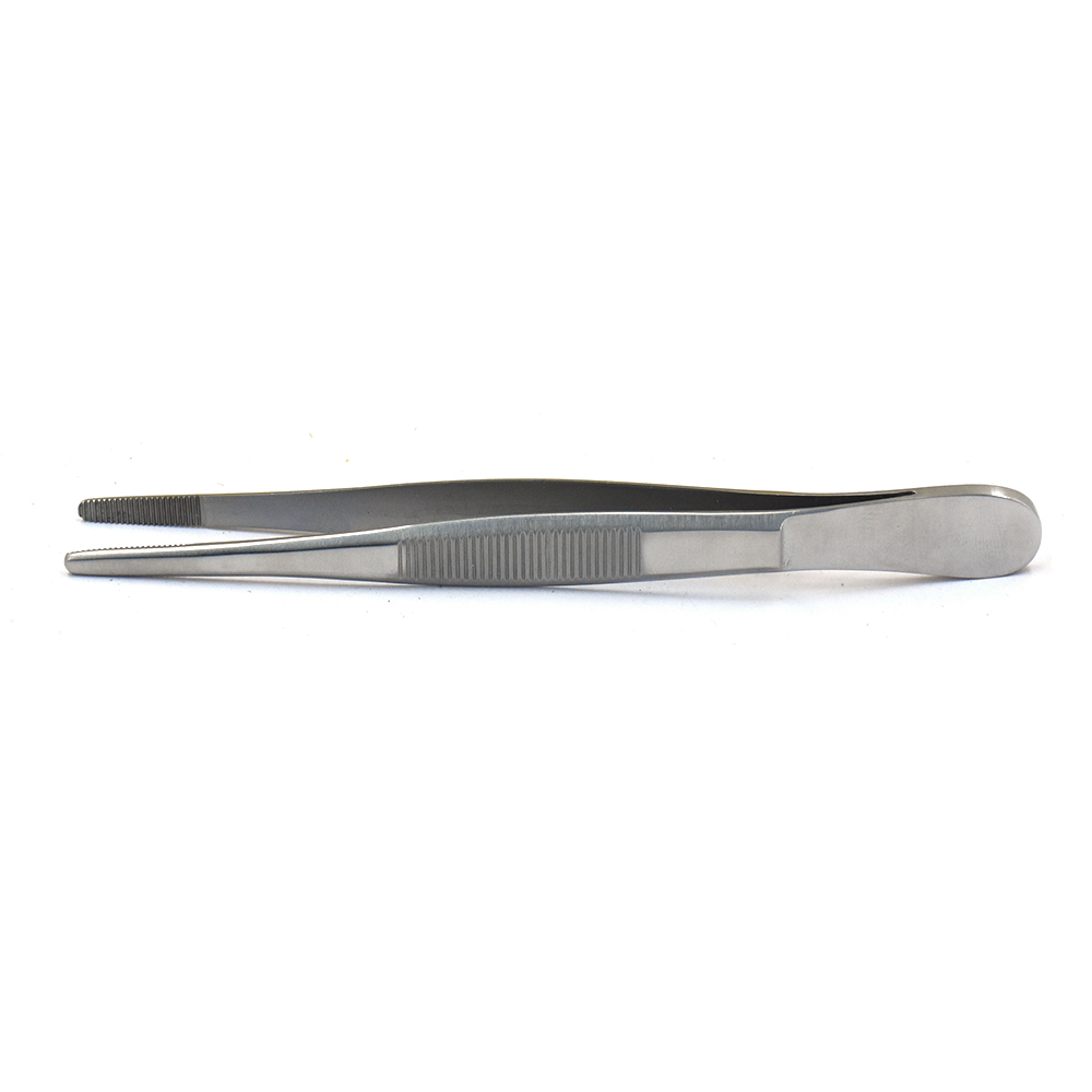 12" Dressing Tweezer / Thumb Forceps – Serrated Tip 3.5cm – Premium Instruments, Surgical Grade