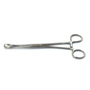 Foerster Sponge Forcep Straight 20 cm Serrated Jaw