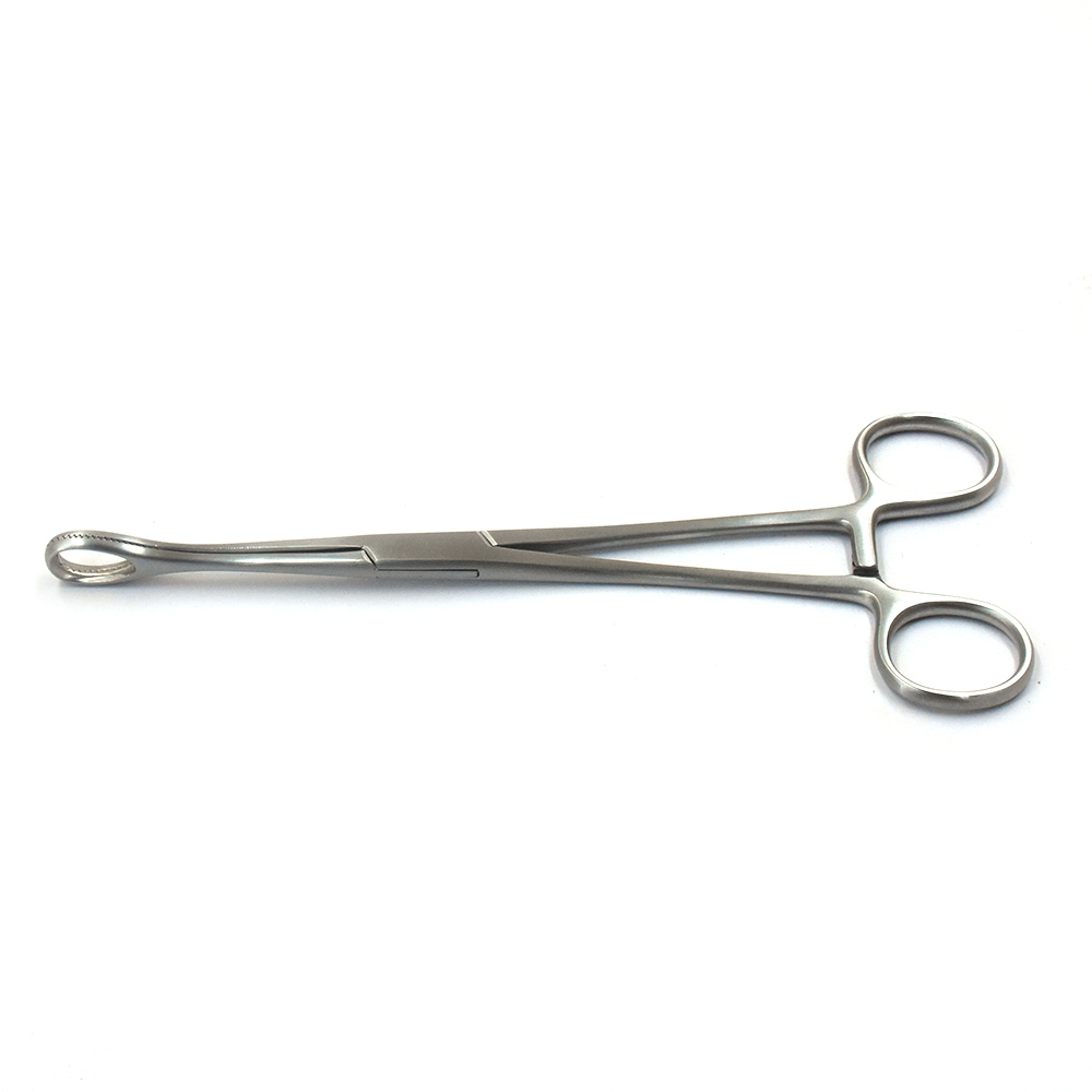 Foerster Sponge Forcep Straight 20 cm Serrated Jaw Foerster Sponge Forcep Straight 20 cm Serrated Jaw