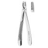 Dental Extracting Forceps English Pattern Upper incisors and canines Fig.1