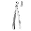 Dental Extracting Forcep English Pattern Lower premolars Fig.17