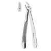 Dental Extracting Forcep English Pattern Lower incisors and canines Fig.4