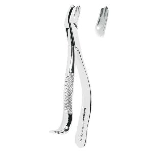 American Pattern Fig.18L